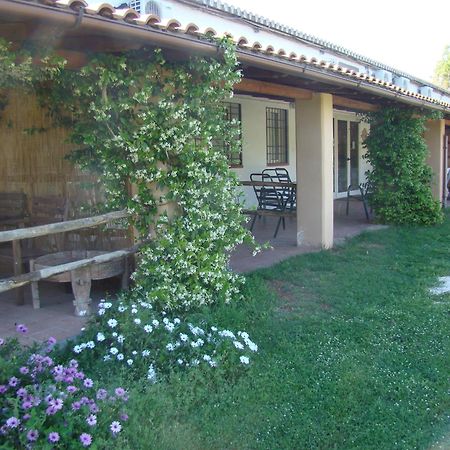 Maison d'hôtes Borgo S.Maria Di Vulci à Montalto di Castro Extérieur photo